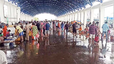 காசிமேடு மீன் மார்க்கெட்