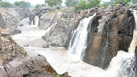 ஒகேனக்கல் அருவிகளில் கொட்டும் தண்ணீர்.