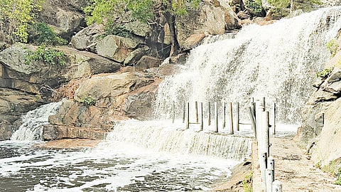 திருமூர்த்திமலை பஞ்சலிங்க அருவியில் சுற்றுலா பயணிகள் குளிக்க அனுமதி