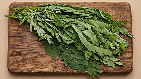 Agathi Leaves