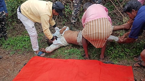யானை தாக்கி வாலிபர் உயிரிழப்பு