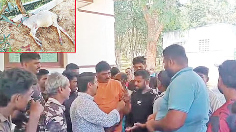 வனத்துறை அலுவலகத்தை முற்றுகையிட்டு பொது மக்கள் வாக்குவாதம்