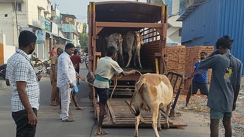 மாடுகளை சாலையில் சுற்றவிட்டால் உரிமையாளர்கள் மீது போலீசில் புகார்