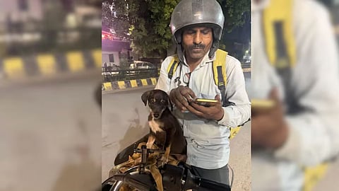 Delivery Hero Saves Injured Puppy