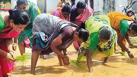 மானாமதுரை அருகே சாலை வசதி கோரி நாற்று நடும் போராட்டம்