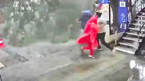 தொடர் மழையால் சாலையில் விழுந்த மரம்- நூலிழையில் உயிர் தப்பிய மூவர்