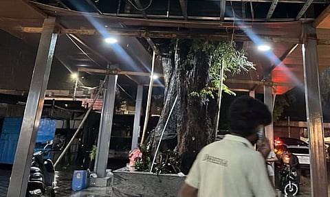 துடியலூர் பஸ்நிலையத்தில் திறப்பு விழாவுக்கு முன்பே சரிந்து விழுந்த மேற்கூரை
