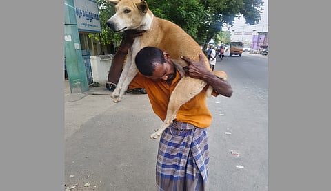 அரசு ஆஸ்பத்திரியில் நாய்க்கு சிகிச்சை அளிக்ககோரி ரகளை செய்த குடிமகன்