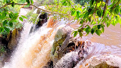 கொடைக்கானலுக்கு சுற்றுலா பயணிகள் வர தடை