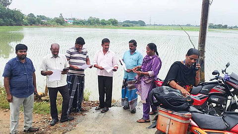 மழையால் பாதிக்கப்பட்ட நெல்வயல்களை வேளாண் அதிகாரி பார்வையிட்டு ஆய்வு