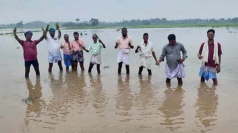 300 ஏக்கர் விளைநிலங்களில் புகுந்த மழைநீர்- விவசாயிகள் கவலை