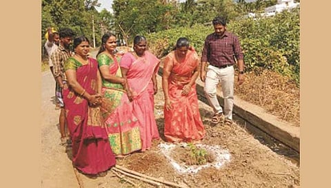 திருக்குறுங்குடி பேரூராட்சி பகுதிகளில் மரக்கன்றுகள் நடப்பட்ட காட்சி.