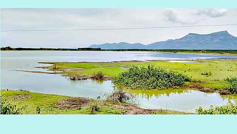 பெரியகுளம் கண்மாயில் தண்ணீர் குறைந்த அளவில் கிடக்கிறது. 