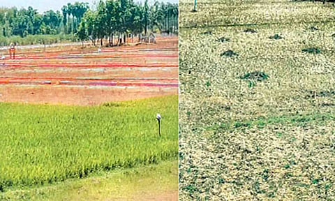 கோப்புபடம். 