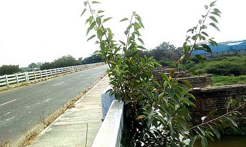 கோப்புபடம். 