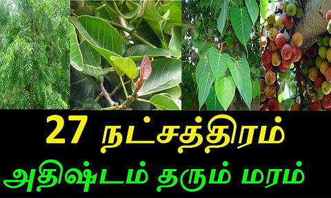 தோஷம் போக்கும் நட்சத்திர மரங்கள்