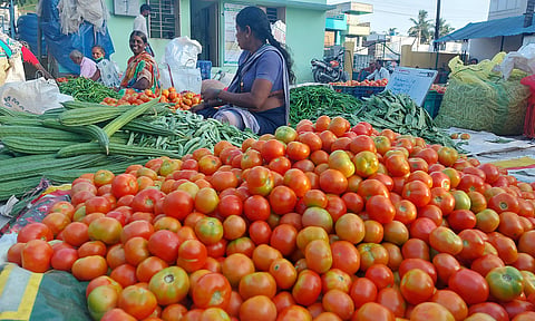 தருமபுரி மார்க்கெட்டில் தக்காளி விலை சரிவு