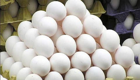 முட்டை விலை மேலும் 30 காசுகள் குறைந்தது