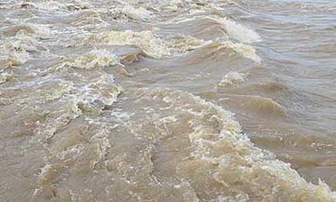 கோப்புபடம். 