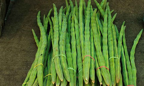கோப்புபடம். 