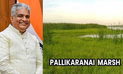 பூபேந்தர் சிங் பள்ளிக்கரனை சதுப்பு நிலம்