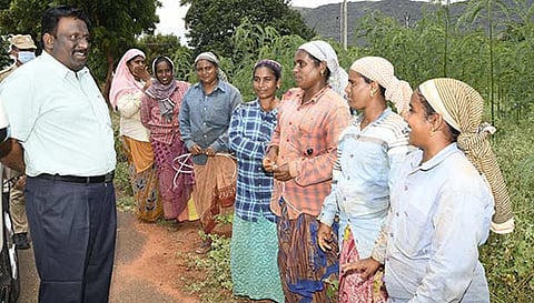 வேப்பம்பட்டி பகுதியில் வேளாண் பணியில் ஈடுபட்ட பெண் தொழிலாளர்களிடம் கலெக்டர் முரளிதரன் கலந்துரையாடினார்.