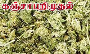 கோவை புறநகரில் கஞ்சா விற்பனை- பெண் உள்பட 12 பேர் கைது