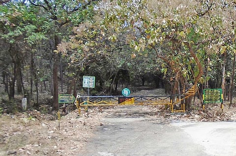 களக்காடு செங்கல்தேரி மலைக்கு செல்லும் பாதை