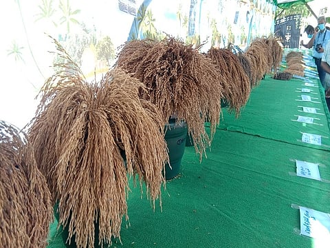 மாநில நெல் திருவிழா- கருத்தரங்கம்