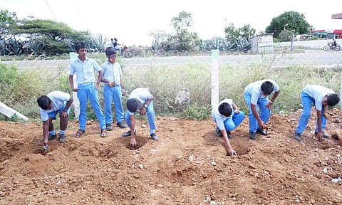 மாணவர்கள் பனை விதைகள் நடும் காட்சி.