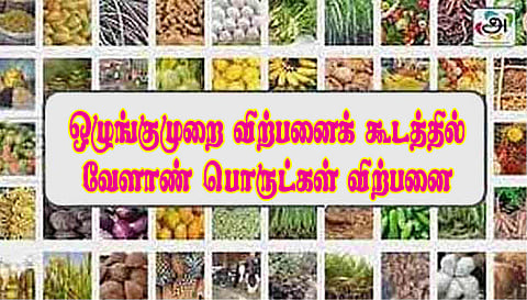 சாலைப்புதூர் ஒழுங்குமுறை விற்பனை கூடத்தில் ரூ.34.16 லட்சத்துக்கு தேங்காய், நிலக்கடலை ஏலம்