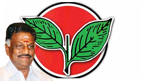 நெல்லையில் ஓ.பி.எஸ். அணியினர் பட்டாசு வெடித்து கொண்டாட்டம்