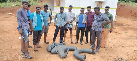 பறிமுதல் செய்யப்பட்ட சாராயம்.