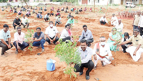 நாஞ்சிக்கோட்டை சிட்கோ தொழில்பேட்டையில் கலெக்டர் தினேஷ் பொன்ராஜ் ஆலிவர் மரக்கன்றுகள் நட்டு வைத்தார்.