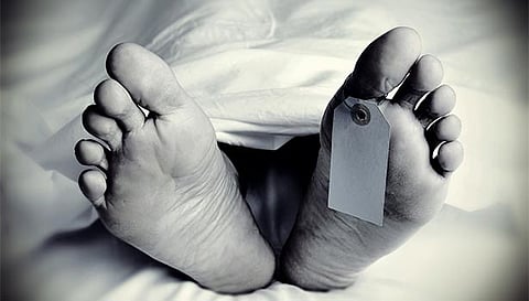 தென்னை மரத்தில் இருந்து தவறி கீழே விழுந்து முதியவர் பலி
