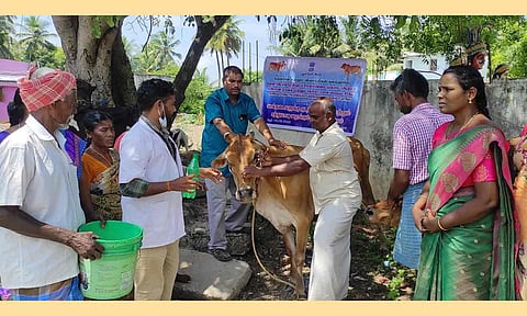 குடற்புழு நீக்க சிகிச்சை முகாம் நடைபெற்ற காட்சி படம். 
