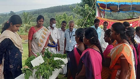 அண்ணா மறுமலர்ச்சி திட்டம் துவக்க விழாவில் ஊட்டச்சத்து ஊழியர்கள் காட்சி படுத்திய சிறுதானியம் உணவுகளை வருவாய் கோட்டாச்சியர் விஷ்ணுவர்தினி பார்வையிட்டபோது எடுத்தபடம்.