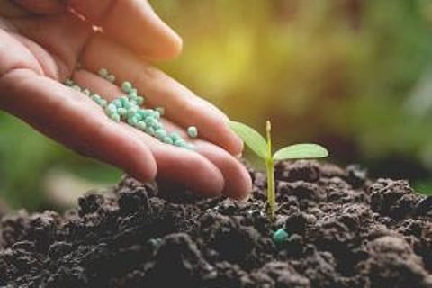 திரவ உயிர் உரங்களை பயன் படுத்தி அதிக மகசூல் பெறலாம்