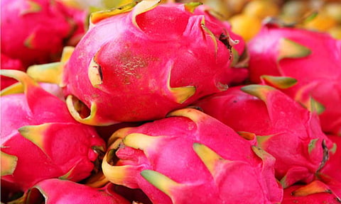 கோப்புபடம். 