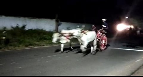 தொண்டாமுத்தூர் அருகே அதிகாலையில் தடையை மீறி ரேக்ளா பந்தயம்