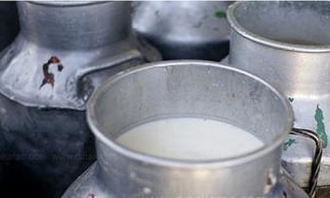 கோப்புபடம். 