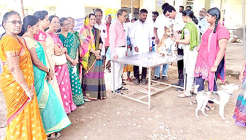 தடுப்பூசி முகாம் நடந்தது.
