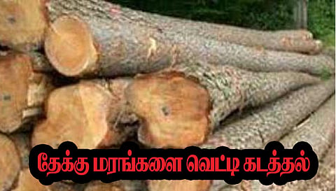 விலை உயர்ந்த தேக்கு மரங்களை வெட்டி கடத்த முயன்ற 3 பேர் சிக்கினர்