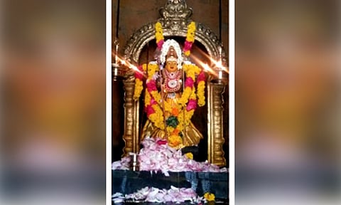 சிறப்பு அலங்காரத்தில் வெள்ளிமலை முருகன்.