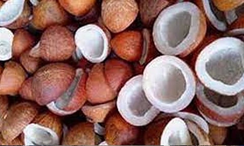 கோப்புபடம். 
