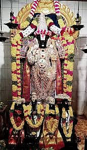 புதுக்கோட்டை பகுதிகளில் பெருமாள் கோவில்களில் சிறப்பு வழிபாடு
