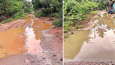 தெருக்களில் குளம்போல் தேங்கி நிற்கும் மழைநீர்.