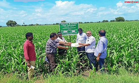 ஆய்வு நடைபெற்றபோது எடுத்தபடம்.