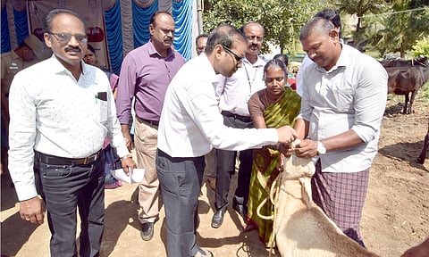 தமிழக முதல்வரின் சிறப்பு கால்நடை சுகாதார விழிப்புணர்வு முகாம்
