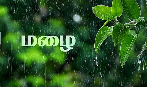 தென்காசி மாவட்டத்தில் அணைப்பகுதிகளில் பரவலாக மழை- குற்றாலத்தில் பயணிகள் கூட்டம் அதிகரிப்பு